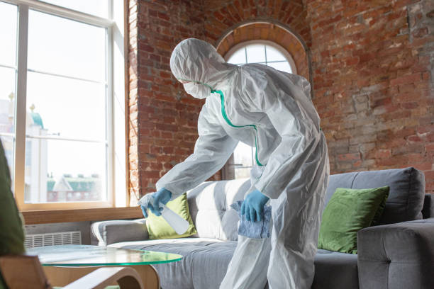 Mold Odor Removal Services in Spotswood, NJ